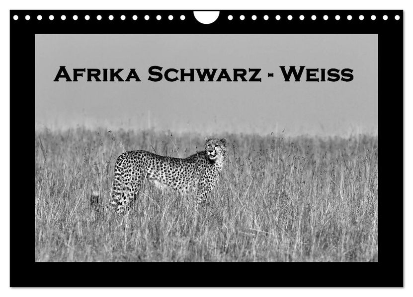 Afrika Schwarz - Weiss (Wandkalender 2026 DIN A4 quer) CALVENDO Monatskalender