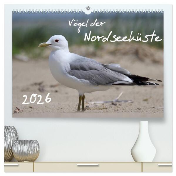 Vögel der Nordseeküste (hochwertiger Premium Wandkalender 2026 DIN A2 quer) Kunstdruck in Hochglanz