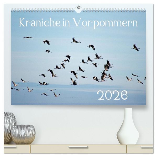 Kraniche in Vorpommern (hochwertiger Premium Wandkalender 2026 DIN A2 quer) Kunstdruck in Hochglanz