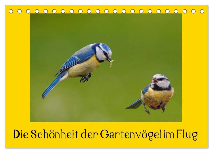 Die Schönheit der Gartenvögel im Flug (Tischkalender 2026 DIN A5 quer) CALVENDO Monatskalender