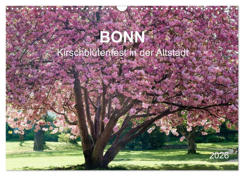 Bonn - Kirschblütenfest in der Altstadt (Wandkalender 2026 DIN A3 quer) CALVENDO Monatskalender