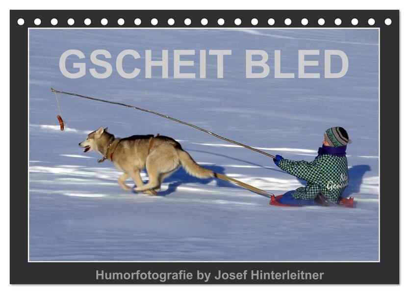 GSCHEIT BLED - Humorfotografie (Tischkalender 2026 DIN A5 quer) CALVENDO Monatskalender