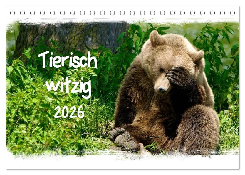 Tierisch witzig (Tischkalender 2026 DIN A5 quer) CALVENDO Monatskalender