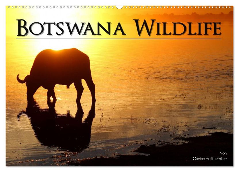 Botswana Wildlife (Wandkalender 2026 DIN A2 quer) CALVENDO Monatskalender