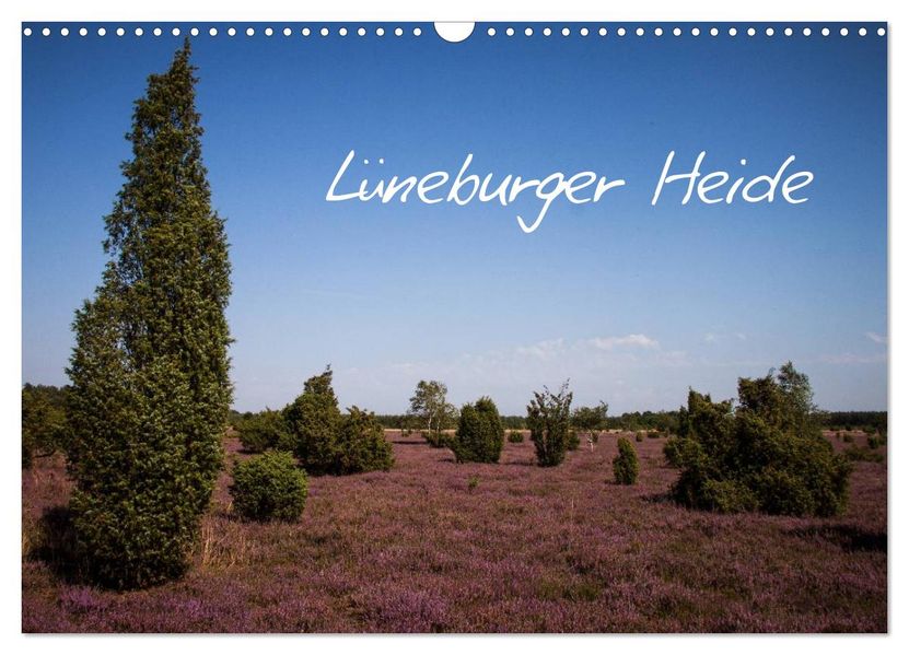 Lüneburger Heide (Wandkalender 2026 DIN A3 quer) CALVENDO Monatskalender