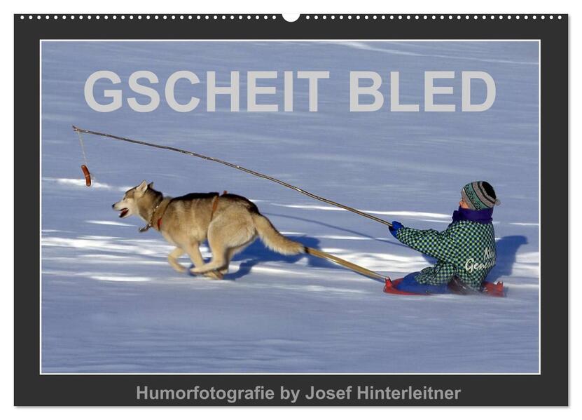GSCHEIT BLED - Humorfotografie (Wandkalender 2026 DIN A2 quer) CALVENDO Monatskalender
