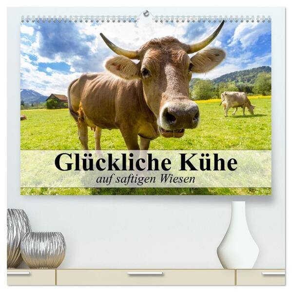Glückliche Kühe auf saftigen Wiesen (hochwertiger Premium Wandkalender 2026 DIN A2 quer) Kunstdruck in Hochglanz