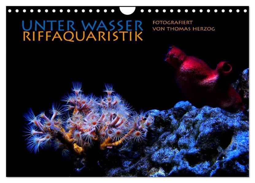 UNTER WASSER Riffaquaristik (Wandkalender 2026 DIN A4 quer) CALVENDO Monatskalender