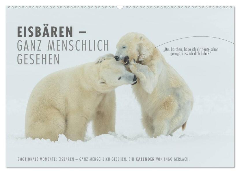 Emotionale Momente: Eisbären - ganz menschlich gesehen. (Wandkalender 2026 DIN A2 quer) CALVENDO Monatskalender
