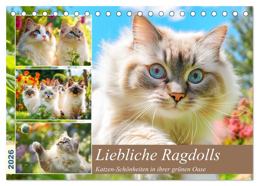 Liebliche Ragdolls. Katzen-Schönheiten in ihrer grünen Oase (Tischkalender 2026 DIN A5 quer) CALVENDO Monatskalender