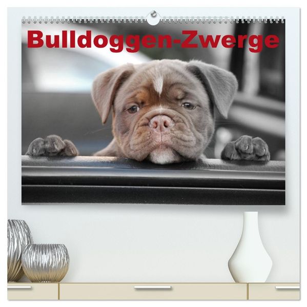 Bulldoggen-Zwerge (hochwertiger Premium Wandkalender 2026 DIN A2 quer) Kunstdruck in Hochglanz
