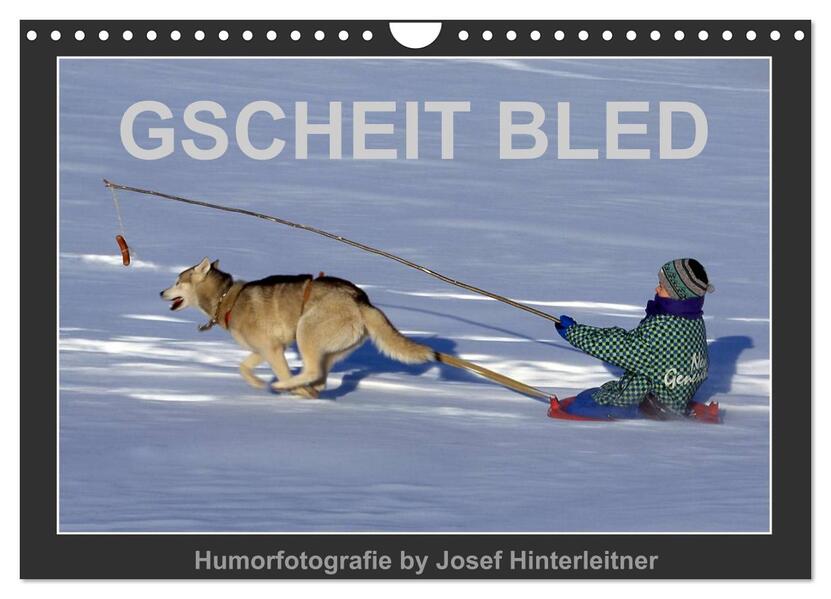 GSCHEIT BLED - Humorfotografie (Wandkalender 2026 DIN A4 quer) CALVENDO Monatskalender