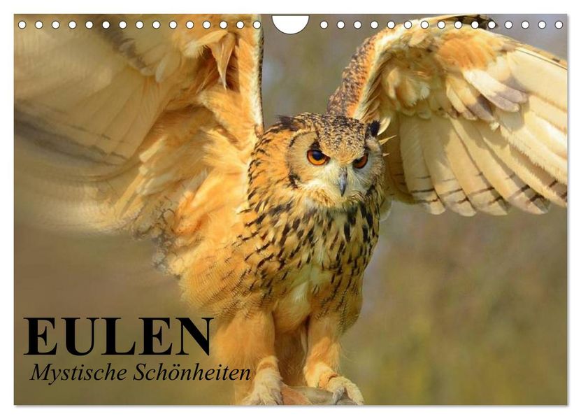 Eulen. Mystische Schönheiten (Wandkalender 2026 DIN A4 quer) CALVENDO Monatskalender
