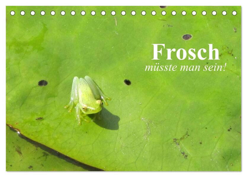 Frosch müsste man sein! (Tischkalender 2026 DIN A5 quer) CALVENDO Monatskalender