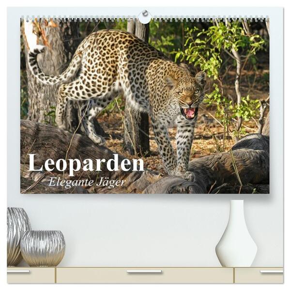Leoparden. Elegante Jäger (hochwertiger Premium Wandkalender 2026 DIN A2 quer) Kunstdruck in Hochglanz