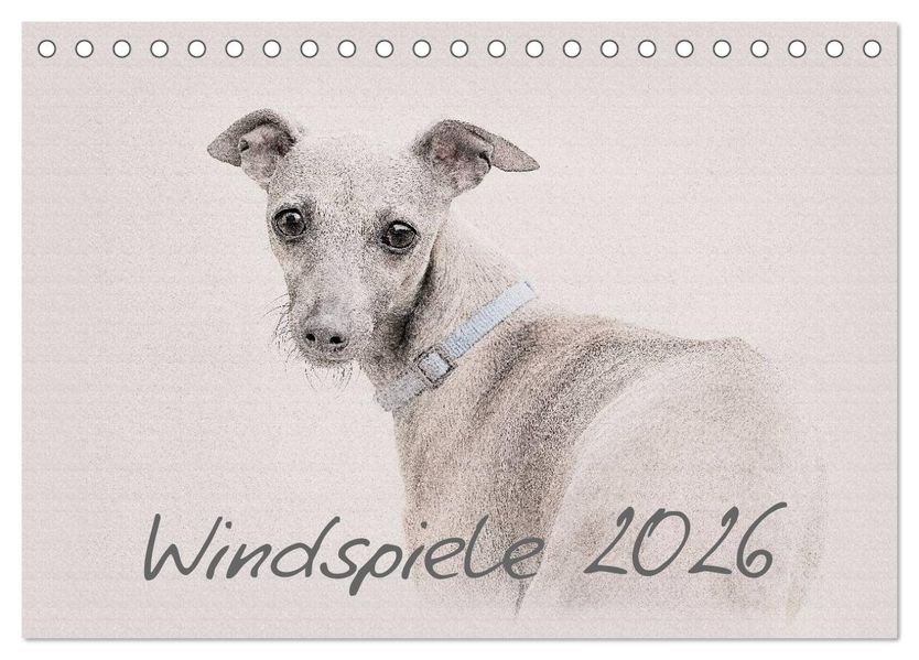Windspiele 2026 (Tischkalender 2026 DIN A5 quer) CALVENDO Monatskalender