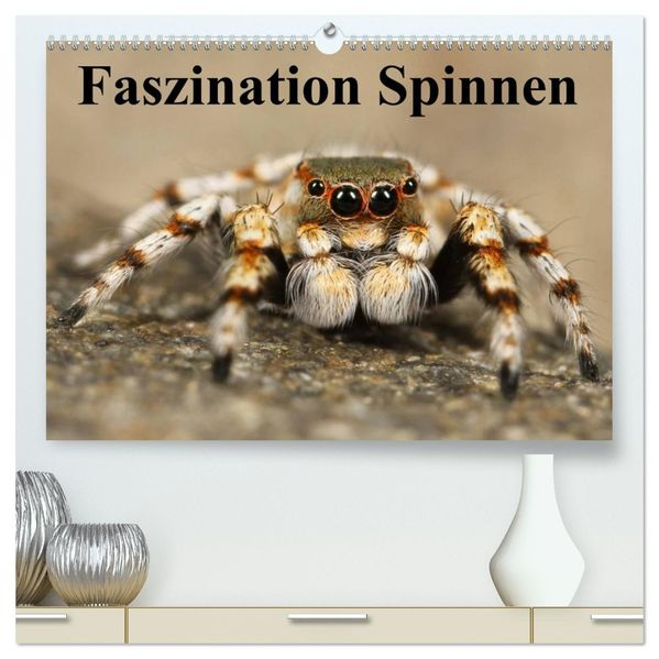 Faszination Spinnen (hochwertiger Premium Wandkalender 2026 DIN A2 quer) Kunstdruck in Hochglanz
