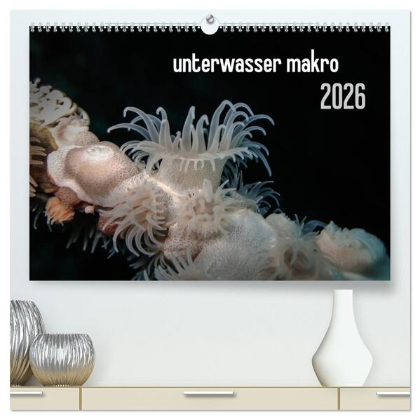 unterwasser makro 2026 (hochwertiger Premium Wandkalender 2026 DIN A2 quer) Kunstdruck in Hochglanz