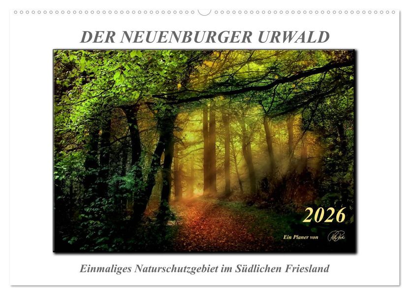 Der Neuenburger Urwald (Wandkalender 2026 DIN A2 quer) CALVENDO Monatskalender