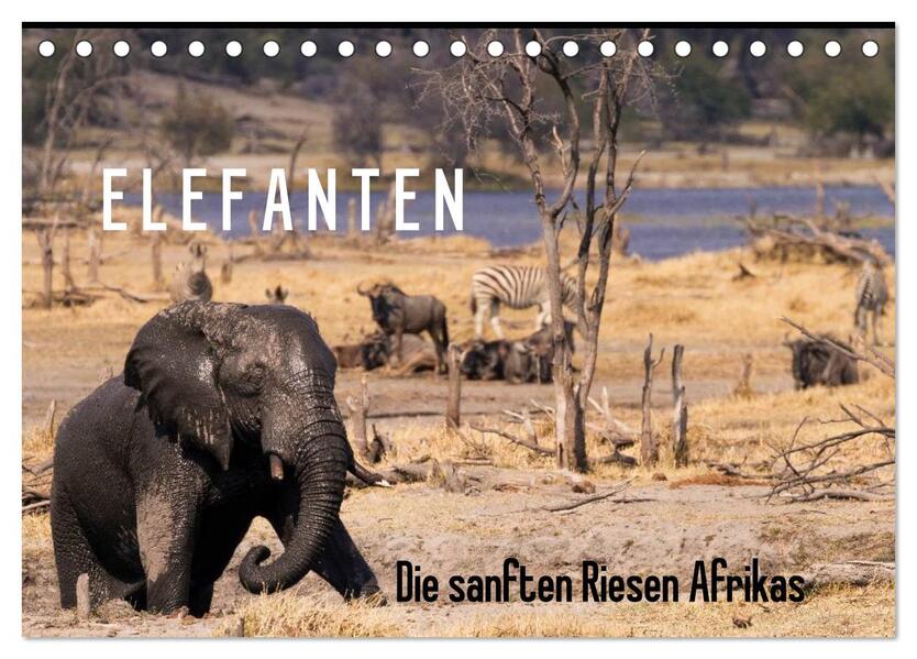 Elefanten - Die sanften Riesen Afrikas (Tischkalender 2026 DIN A5 quer) CALVENDO Monatskalender