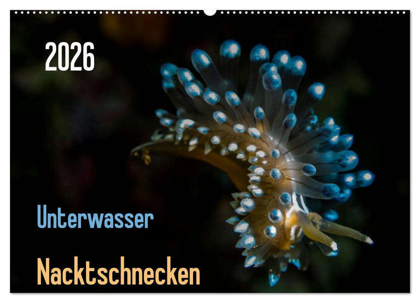 Unterwasser - Nacktschnecken 2026 (Wandkalender 2026 DIN A2 quer) CALVENDO Monatskalender