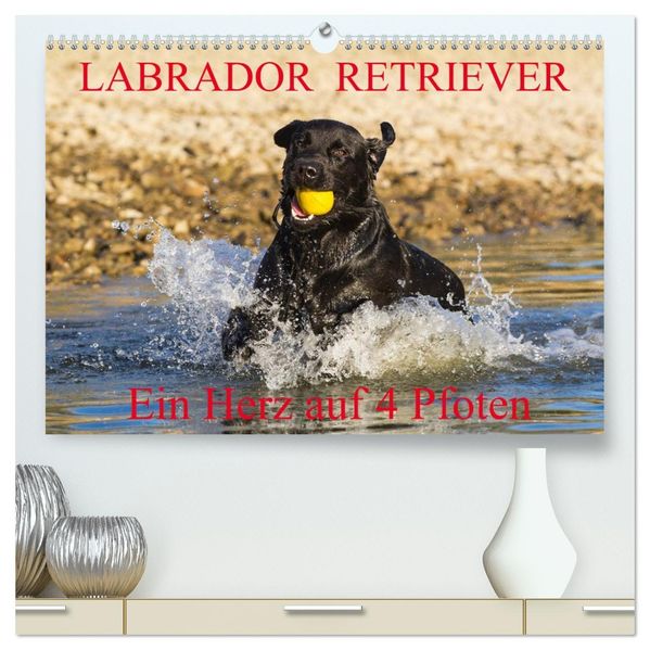 Labrador Retriever - ein Herz auf 4 Pfoten (hochwertiger Premium Wandkalender 2026 DIN A2 quer) Kunstdruck in Hochglanz