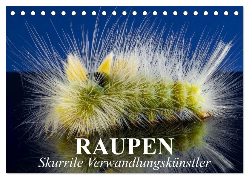 Raupen - Skurrile Verwandlungskünstler (Tischkalender 2026 DIN A5 quer) CALVENDO Monatskalender