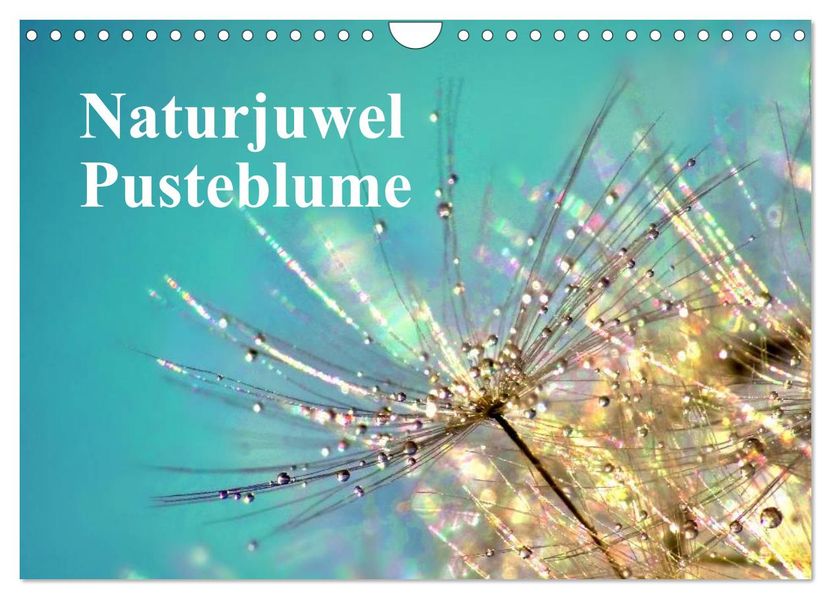 Naturjuwel Pusteblume (Wandkalender 2026 DIN A4 quer) CALVENDO Monatskalender