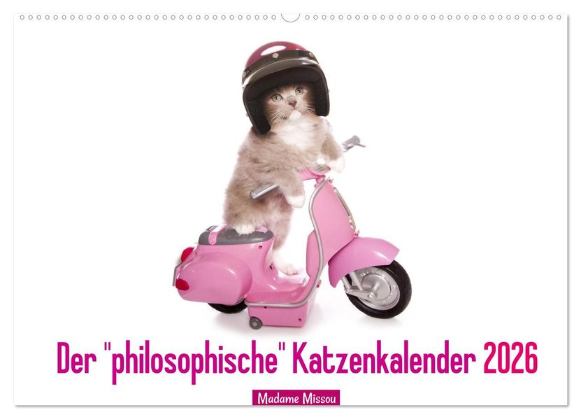 Der 'philosophische' Katzenkalender 2026 (Wandkalender 2026 DIN A2 quer) CALVENDO Monatskalender