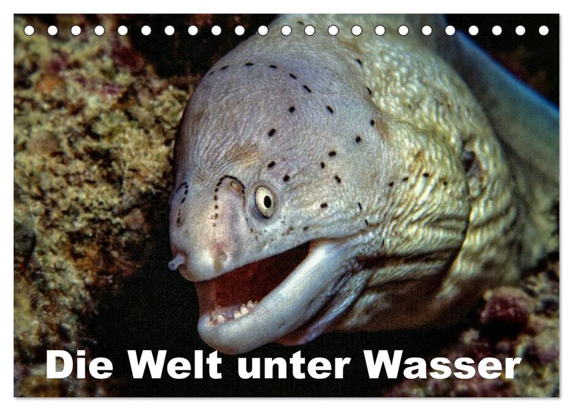 Die Welt unter Wasser (Tischkalender 2026 DIN A5 quer) CALVENDO Monatskalender
