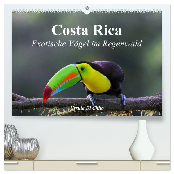 Costa Rica - Exotische Vögel im Regenwald (hochwertiger Premium Wandkalender 2026 DIN A2 quer) Kunstdruck in Hochglanz