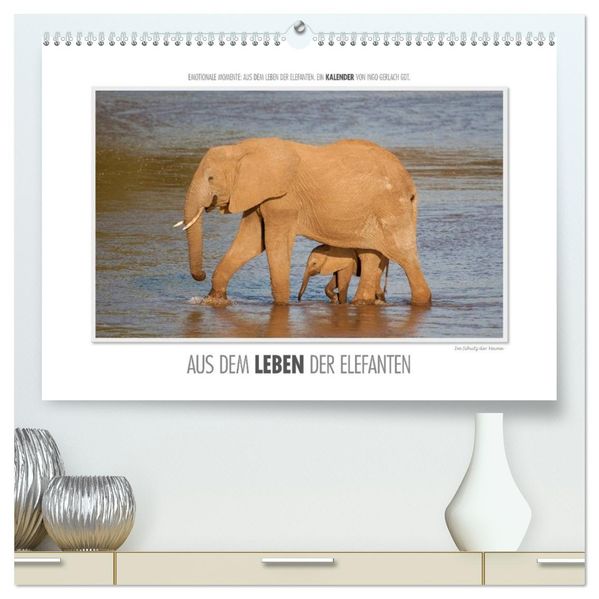 Emotionale Momente: Aus dem Leben der Elefanten. / CH-Version (hochwertiger Premium Wandkalender 2026 DIN A2 quer) Kunstdruck in Hochglanz