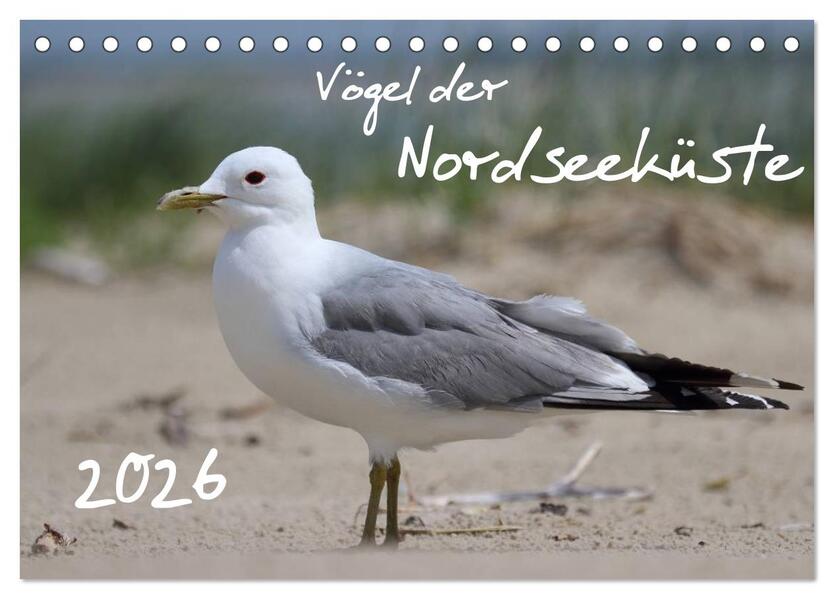Vögel der Nordseeküste (Tischkalender 2026 DIN A5 quer) CALVENDO Monatskalender