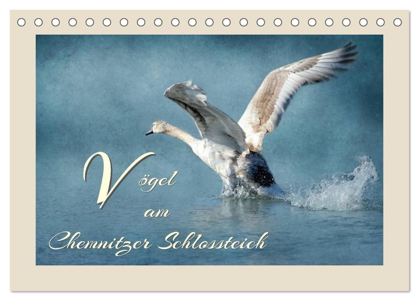 Vögel am Chemnitzer Schlossteich (Tischkalender 2026 DIN A5 quer) CALVENDO Monatskalender