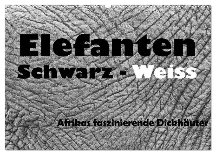 Elefanten Schwarz - Weiss (Wandkalender 2026 DIN A2 quer) CALVENDO Monatskalender