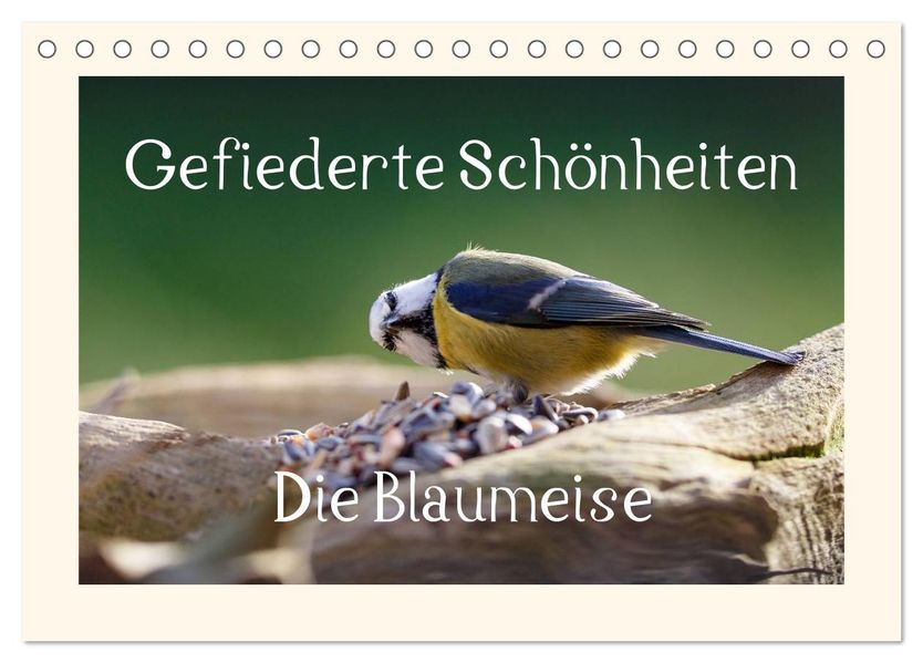 Gefiederte Schönheiten - Die Blaumeise (Tischkalender 2026 DIN A5 quer) CALVENDO Monatskalender