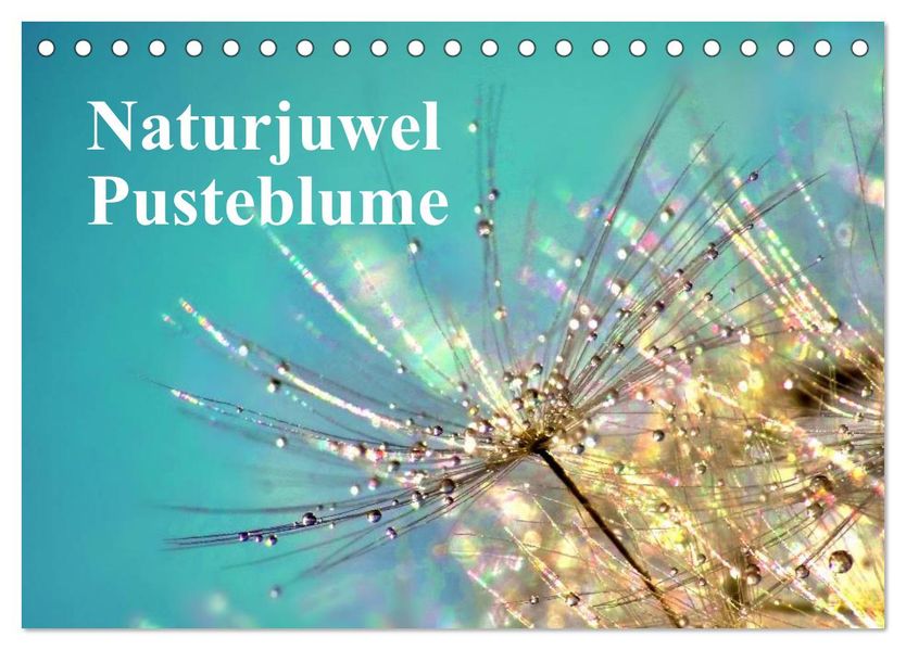 Naturjuwel Pusteblume (Tischkalender 2026 DIN A5 quer) CALVENDO Monatskalender