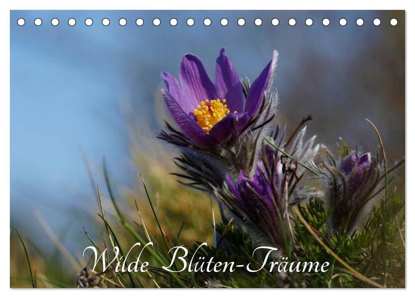 Wilde Blüten-Träume (Tischkalender 2026 DIN A5 quer) CALVENDO Monatskalender
