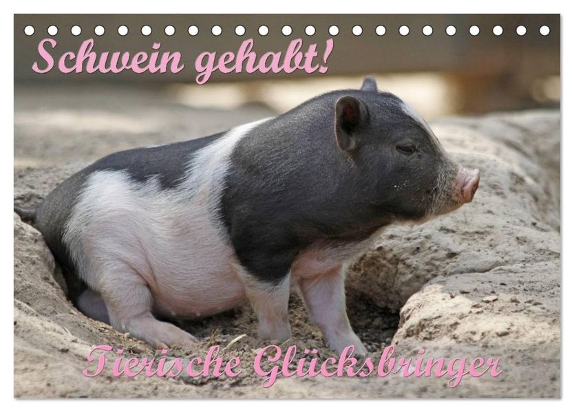 Schwein gehabt! (Tischkalender 2026 DIN A5 quer) CALVENDO Monatskalender