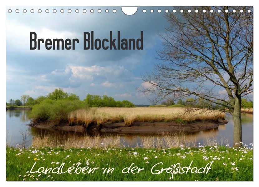 Bremer Blockland - Landleben in der Großstadt (Wandkalender 2026 DIN A4 quer) CALVENDO Monatskalender