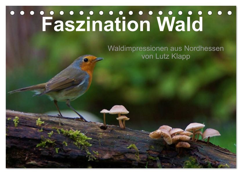 Faszination Wald. Waldimpressionen aus Nordhessen von Lutz Klapp (Tischkalender 2026 DIN A5 quer) CALVENDO Monatskalender