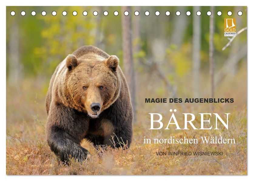 Magie des Augenblicks - Bären in nordischen Wäldern (Tischkalender 2026 DIN A5 quer) CALVENDO Monatskalender