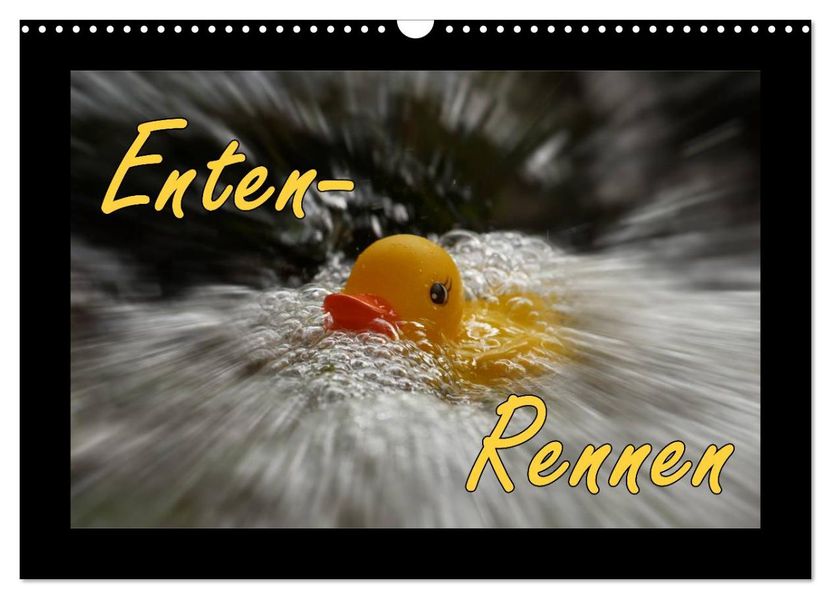 Enten-Rennen (Wandkalender 2026 DIN A3 quer) CALVENDO Monatskalender