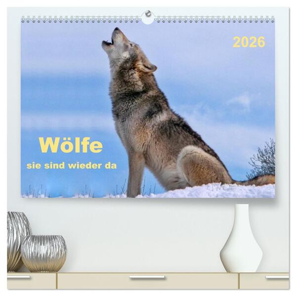 Wölfe - sie sind wieder da (hochwertiger Premium Wandkalender 2026 DIN A2 quer) Kunstdruck in Hochglanz
