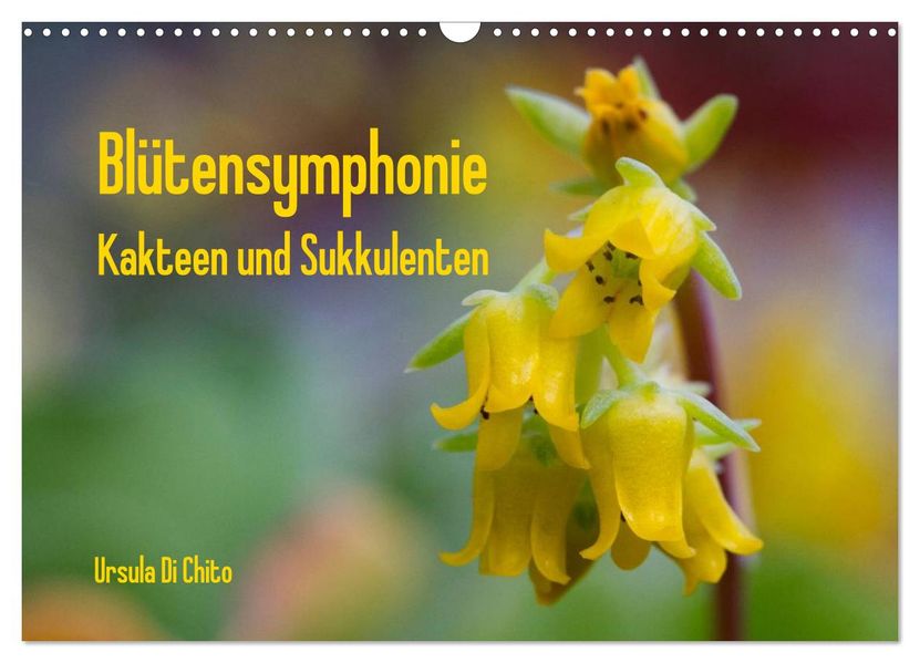 Blütensymphonie - Kakteen und Sukkulenten (Wandkalender 2026 DIN A3 quer) CALVENDO Monatskalender