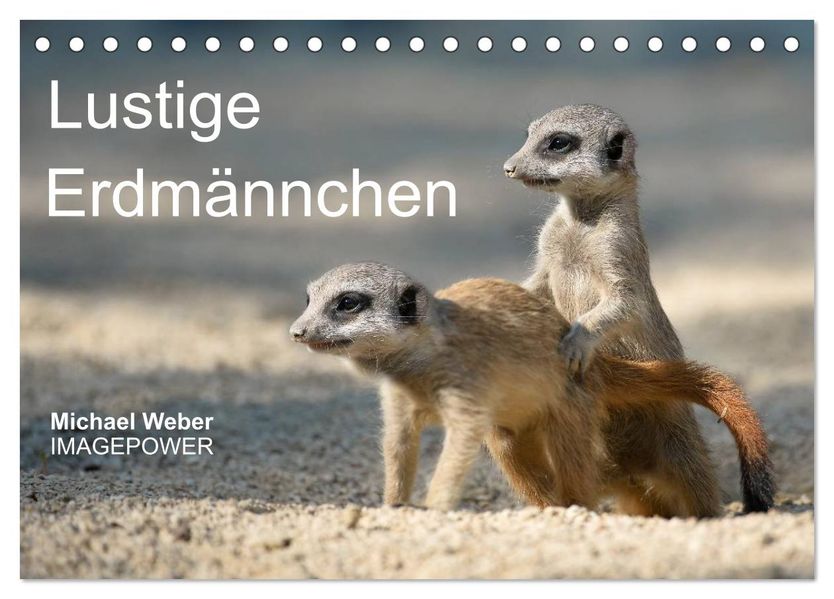 Lustige Erdmännchen (Tischkalender 2026 DIN A5 quer) CALVENDO Monatskalender