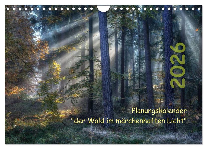 Planungskalender Märchenwald 2026 (Wandkalender 2026 DIN A4 quer) CALVENDO Monatskalender