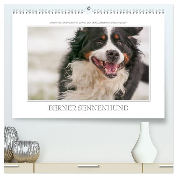 Emotionale Momente: Berner Sennenhund. (hochwertiger Premium Wandkalender 2026 DIN A2 quer) Kunstdruck in Hochglanz