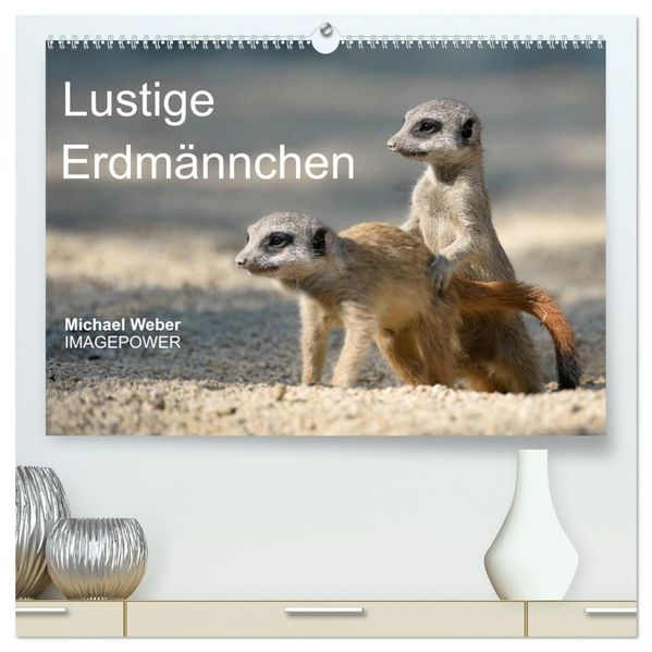 Lustige Erdmännchen (hochwertiger Premium Wandkalender 2026 DIN A2 quer) Kunstdruck in Hochglanz