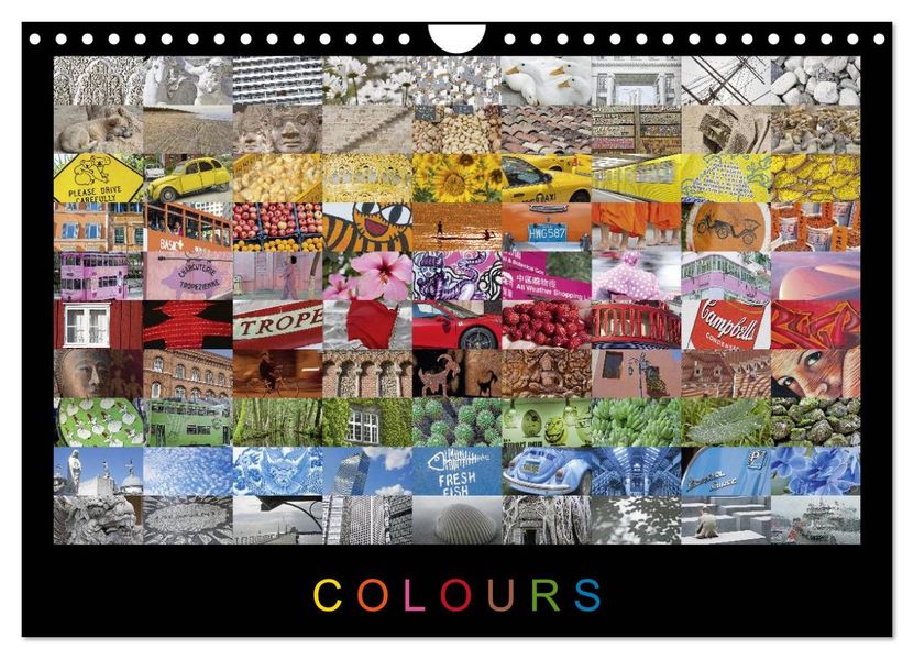 Colours (Wandkalender 2026 DIN A4 quer) CALVENDO Monatskalender